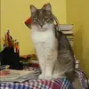 Отзыв от Наталья Рудакова